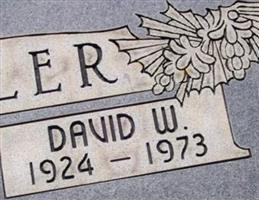 David Warren Miller