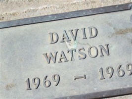 David Watson David Watson