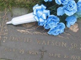 David Watson, Sr David Watson, Sr