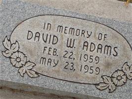 David Wayne Adams