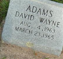 David Wayne Adams