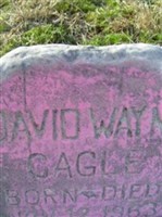 David Wayne Cagle David Wayne Cagle