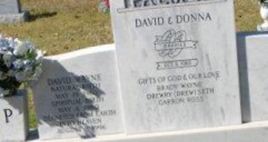 David Wayne Palmer David Wayne Palmer