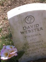 David Webster David Webster