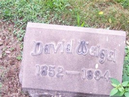 David Weigel (1850761.jpg) David Weigel (1850761.jpg)