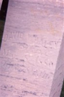 David Whaley David Whaley