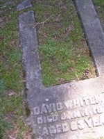 David Whiteman