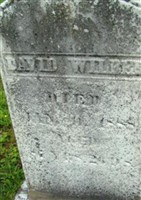 David Wilber
