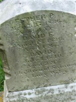 David Wiley David Wiley