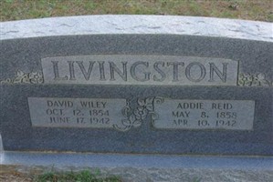 David Wiley Livingston David Wiley Livingston