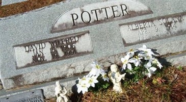 David Wilfred Potter