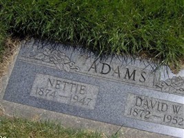 David William Adams