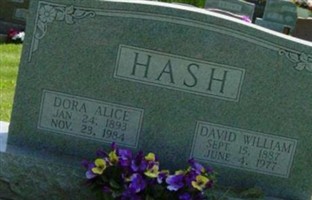 David William Hash David William Hash