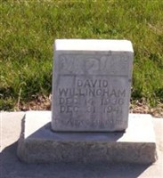 David Willingham