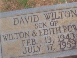 David Wilton Powers David Wilton Powers