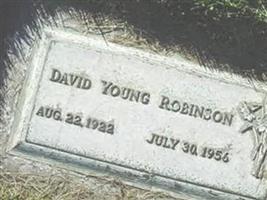 David Young Robinson