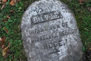 Davie Hoge