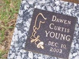 Dawen Curtis Young