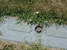 Dayle Jean Clark
