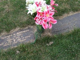 Dayle M Reynolds Buckman