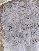 D B Laney D B Laney