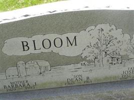 Dean Brian Bloom