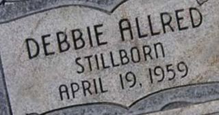 Debbie Allred Debbie Allred