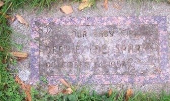 Debbie Lee Sparks