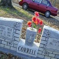 Debbie Rose Correll