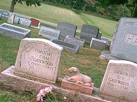 Debora S. Gatewood Debora S. Gatewood