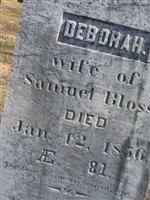 Deborah Allen Bloss Deborah Allen Bloss