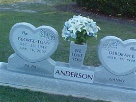Deborah E. Anderson Deborah E. Anderson