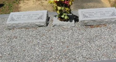 Deborah Elaine Spann