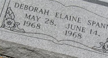 Deborah Elaine Spann