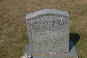 Deborah Sue Sanderson Deborah Sue Sanderson