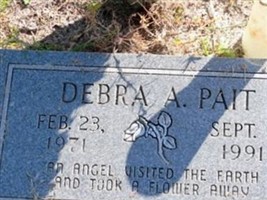 Debra A Pait