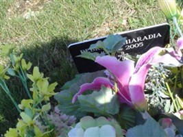 Debra A. Rothrock Chiaradia