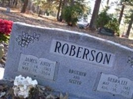 Debra Lee Farr Roberson Debra Lee Farr Roberson