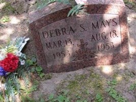 Debra S Mays Debra S Mays