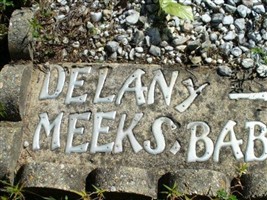 Delaney Meeks Delaney Meeks