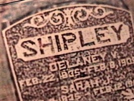 Delaney V Shipley Delaney V Shipley
