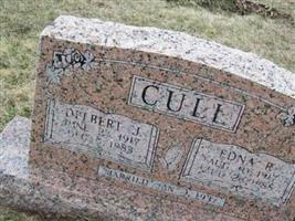 Delbert J. Cull