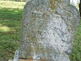 Delbert M. Hanna Delbert M. Hanna