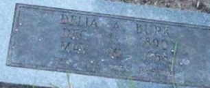 Delia A Burk