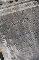Delia A. Herbener