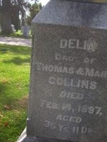 Delia Collins