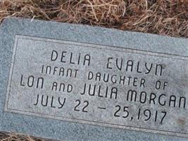 Delia Evalyn Morgan