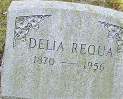 Delia Ireland Requa Delia Ireland Requa