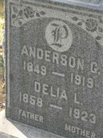 Delia L Anderson