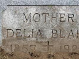 Delia Lesord Blake
